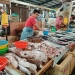Faktor Cuaca Harga Ikan Laut Naik, Daging Ayam Masih Stabil