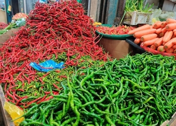 Jelang Imlek, Harga Sejumlah Komoditas Bahan Pangan Masih Normal di Tanjungpinang