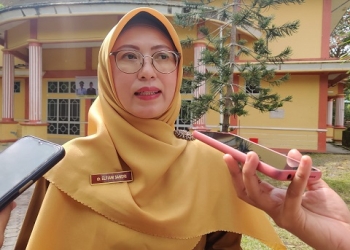 Dukung Pelayanan Kesehatan di Tanjungpinang, Pemprov Bantu Operasional Rp5 Juta per Posyandu