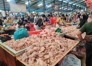 Jelang Ramadan, Harga Daging Ayam Pasar Bincen Tembus Rp45 Ribu per Kg