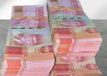 Awal Tahun Sudah Defisit & Terlilit Utang, LSM: Seharusnya APBD Mendongkrak Ekonomi Bukan Sebaliknya