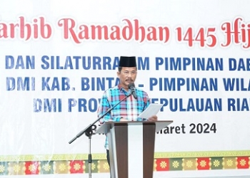 Dukung Percepatan Investasi di Bintan, Rudi Paparkan Sistem Pengembangan Prioritas Infrastruktur