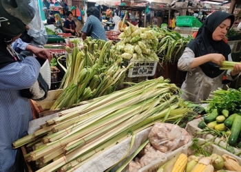 Jelang Lebaran, Janur Kelapa Mulai Diburu Masyarakat Tanjungpinang