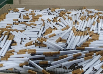 Tidak Tahu Siapa Pemiliknya, BC Tanjungpinang Amankan 4 Koper Rokok Ilegal di Pelabuhan RoRo Tanjung Uban