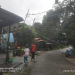 Sembilan Rumah Warga Desa Teluk Sasah Dihantam Roboh Puting Beliung