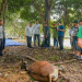 Pemotongan Hewan Qurban di Masjid Ulil Amri, Sekda Zulhidayat Ucapkan Terima Kasih kepada ASN