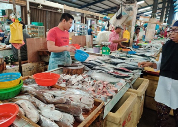 Sejumlah Pedagang Ikan Pasar Bincen Keluhkan Sepinya Pembeli
