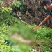 Dipenuhi Belatung, Penjaga Mini Zoo Kijang Ditemukan Tewas di Semak Belukar