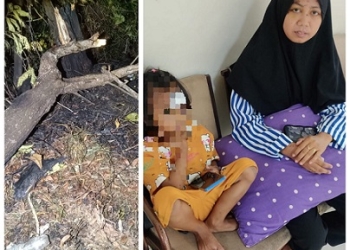 Satu Keluarga Tertimpa Pohon di Tanjungpinang, Suami Koma Belum Sadarkan Diri