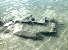 Bangkai Kapal Abad ke-12 Ditemukan di Nirwana Garden Lagoi