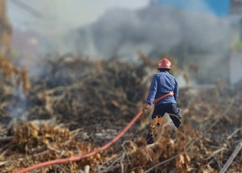 55 Kasus Kebakaran Lahan yang Terjadi di Tanjungpinang hingga Juli 2024