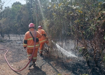 Dalam Sehari Tanjungpinang Terjadi Kebakaran di 5 Lokasi Berbeda Dekat Pemukiman