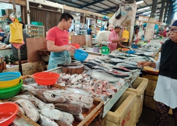 Harga Ikan Pasar Bincen Mulai Stabil, Namun Daya Beli Kosumen Menurun