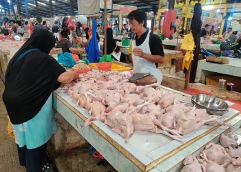 Harga Ayam Melambung Tinggi, Pedagang Pasar Bincen Sebut Ada Monopoli