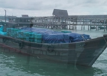 Bea Cukai Tangkap Kapal Kayu KM Makmur I Tanpa Manifest di Perairan Tanjungpinang