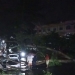 Pemko Tanjungpinang Diminta Lebih Serius Perhatikan Potensi Pohon Tumbang di Jalan Raya