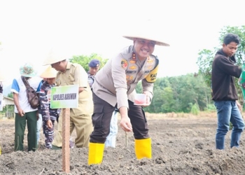 Polres Karimun Tanam Bibit Jagung di Lahan 5 Hektare