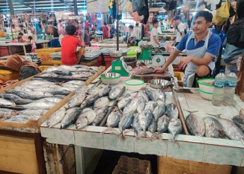 Pedagang Pasar Bincen Keluhkan Permintaan Ikan Masyarakat Turun Drastis