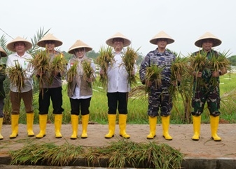 Sekda Ronny: 1,5 Ha di Desa Sri Bintan Hasilkan 3 Ton Benih Pokok Bersertifikasi