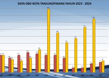 Capai 281 Kasus di 2024, Dinkes Imbau Masyarakat Tanggap DBD di Musim Hujan