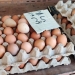 Jelang Nataru, Harga Telur Ayam di Tanjungpinang Merangkak Naik
