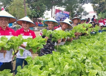 Lanal Karimun Berbagi Sembako, Makanan Bergizi dan Panen Raya