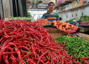 Pengaruh Cuaca, Harga Cabai Pasar Bincen Merangkak Naik