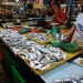 Musim Angin Utara, Harga Ikan di Pasar Bincen Merangkak Naik