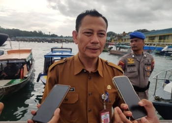Fasilitas yang Jadi Atensi, Sekitar 14 Toilet akan Dibagun di Penyengat