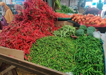 Awal Tahun 2025, Harga Cabai di Pasar Bincen Tanjungpinang Tinggi