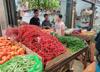 Harga Bumbu Dapur di Tanjungpinang Meroket, Cabai Tembus Rp110 per Kilogram