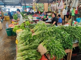 Harga Sayur Normal, Petani sebut Cuaca Hujan Mudah Diserang Hama Gampang Busuk