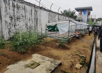 Sulap Lahan Kosong Jadi Perkebunan, Rutan Tanjungpinang Panen 100 Kg Sayur dalam Sebulan