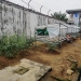 Sulap Lahan Kosong Jadi Perkebunan, Rutan Tanjungpinang Panen 100 Kg Sayur dalam Sebulan
