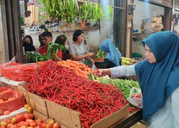 Harga Cabai di Tanjungpinang Perlahan Mulai Turun