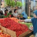 Harga Cabai di Tanjungpinang Perlahan Mulai Turun