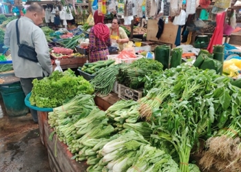 Awal Ramadan 2025, Harga Cabai dan Sayuran di Pasar Bincen Tanjungpinang Stabil