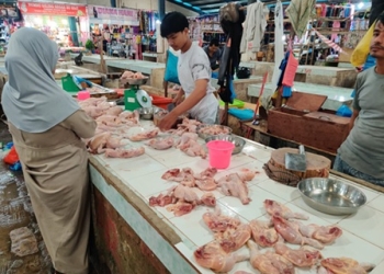 Stok Berkurang, Selasa Besok Harga Daging Ayam di Pasar Bincen Naik Rp2 Ribu