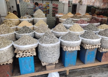 Perlahan Naik Sejak Awal Tahun, Harga Bilis Tembus Rp160 Ribu per Kilogram