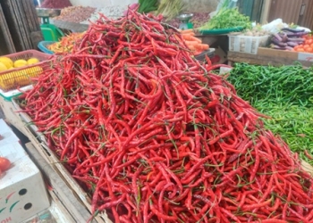 Harga Cabai Merah dan Nano Melonjak, Tembus Rp105 Ribu per Kilogram