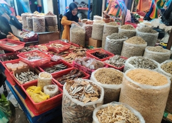 Pasca Lebaran Harga Bilis di Tanjungpinang Masih Tinggi, Naik 20 dari Normalnya