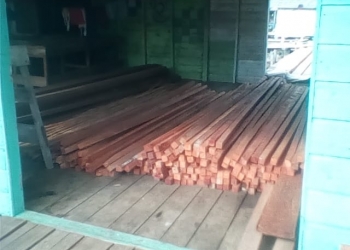 Guru SDN Tajung Sebauk Bahrum, Jadi Penampung Illegal Logging?