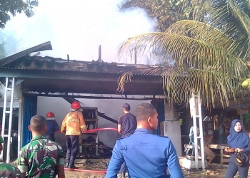 Si Jago Merah Kembali Beraksi di Sebayar Natuna