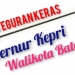 Teguran Mendagri Terhadap Gubernur Kepri & Walikota Batam, Apakah Sudah Ditindak Lanjuti?