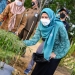 Fase Panen Cabai di Kebun PKK Kepri, Dewi Kumalasari: Sekalian Tanam Kacang Tanah