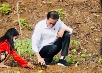 Presiden Jokowi Tanam Pohon Bersama Masyarakat NTB