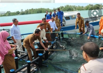Masyarakat Nelayan Sambut Baik Rencana Pemprov Kepri Realisasi Budidaya Hasil Laut