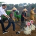 Presiden Jokowi Berharap Kebutuhan Jagung Nasional Tercukupi