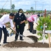 Rehabilitasi Kerusakan Hutan, Jokowi Tanam Pohon di Area Bekas Tambang