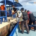 Respon Cepat Pemprov Kepri Distribusikan Bantuan Musibah Kebakaran di Pulau Buluh
